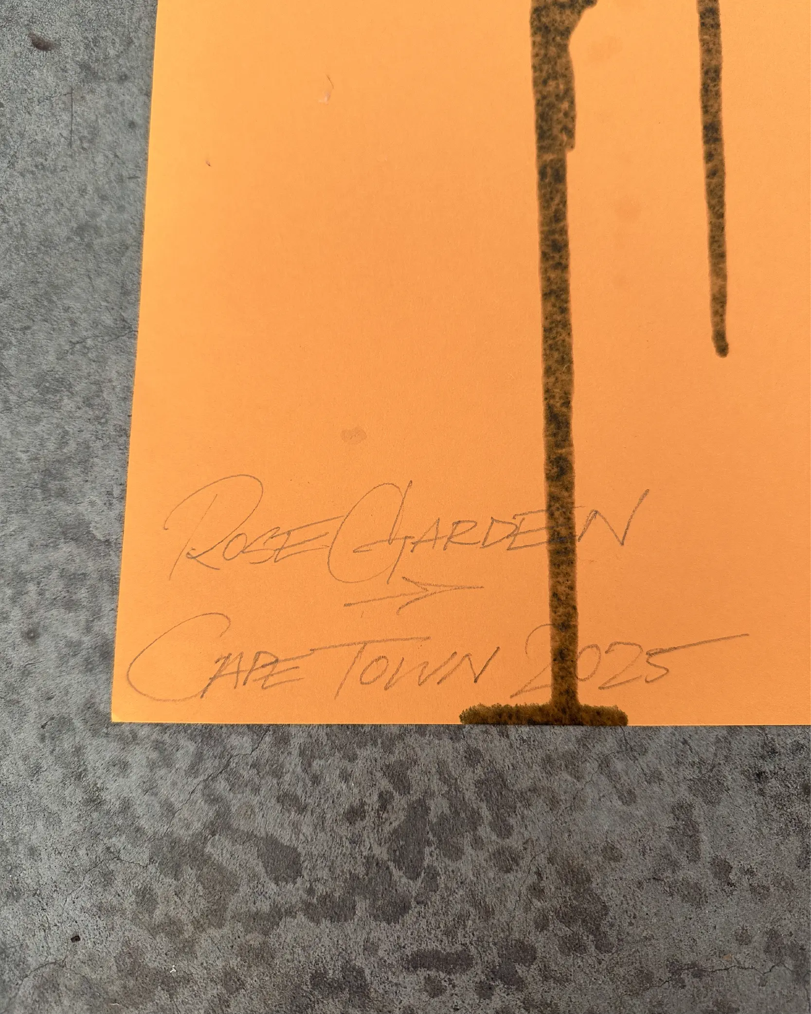 Orange Wave Riding Device