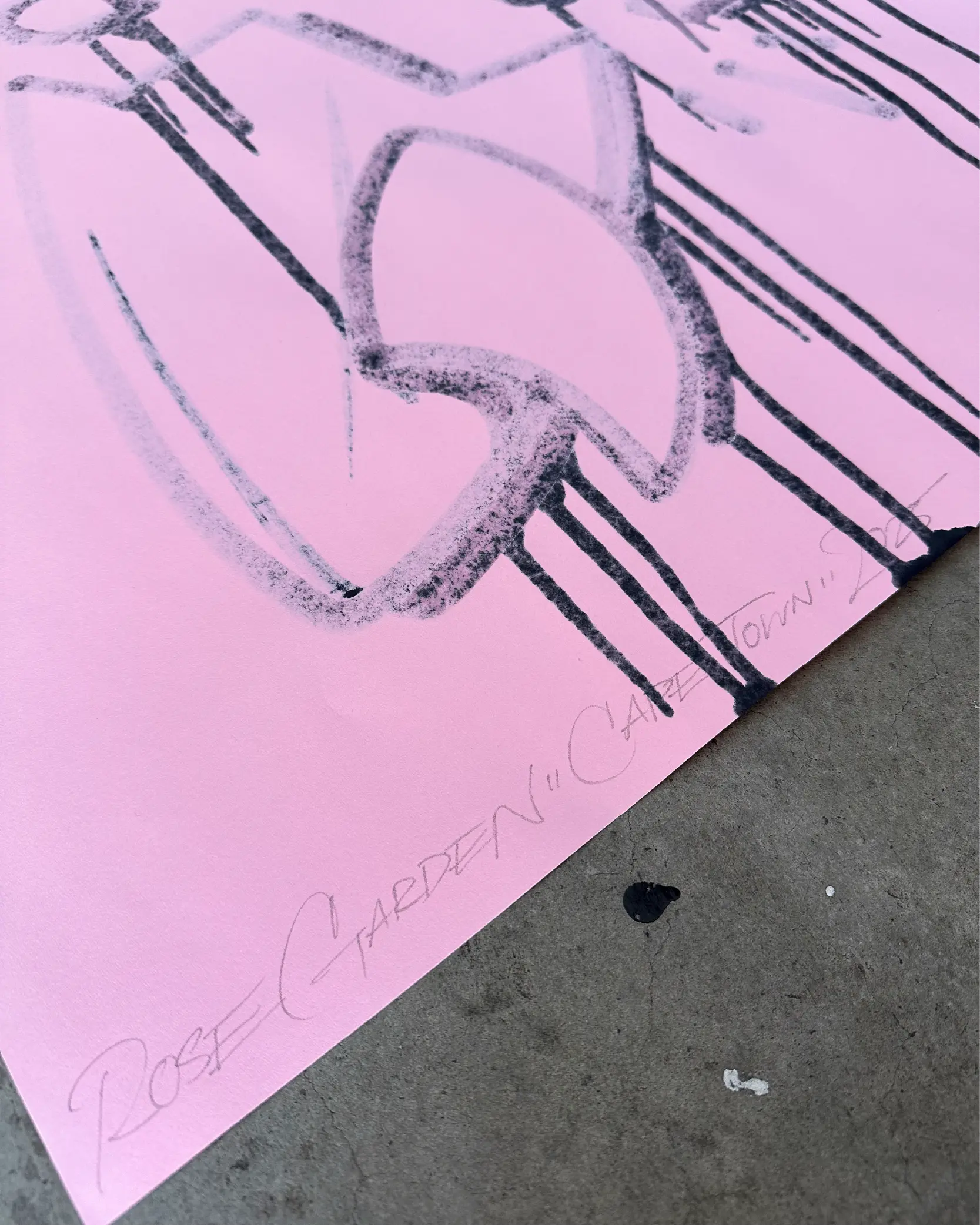 Pink Wave Riding Device